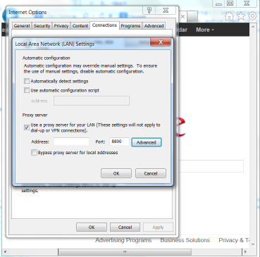 local area network settings advanced form for internet explorer